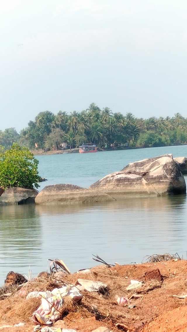 984796454256167568