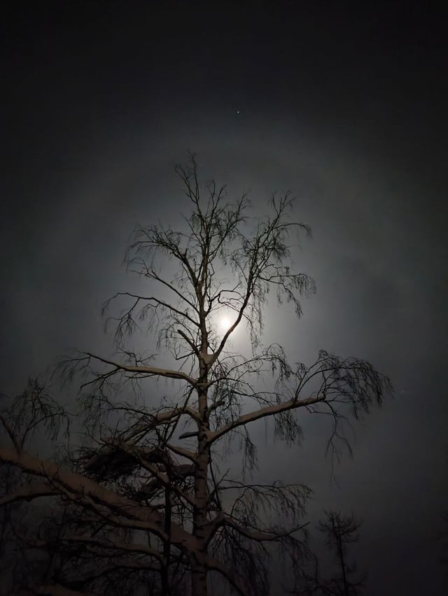 974506215126081710