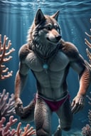 far_shot, photo, realistic, anthro wolf, necklace, solo, male, swimwear, (looking aside:1.2), upper body, underwater, fish, coral, detailed background, swimming