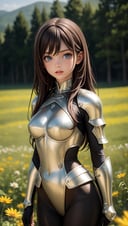 (masterpiece),(best quality),(extremely intricate),(sharp focus),(cinematic lighting),(extremely detailed),A young girl in armor,standing in a meadow of wildflowers. She has long brown hair adorned with wildflowers. Her expression is determined,and her eyes are shining with courage. The sun is shining brightly behind her,casting a golden glow over the scene.,flower4rmor,flower bodysuit,Flower,
