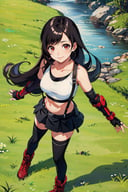 masterpiece, best quality, 7rtifa, crop top, arm guards, fingerless gloves, suspenders, pleated miniskirt, black thighhighs, red boots, from above, grass, stream, looking at viewer, smile<lora:tifa-nvwls-v1-000008:0.8>
