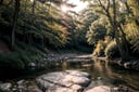centered, photography, raw photo, | sunset cozy forest, trees, leaf, river, riverflow, rock path, | aesthetic vibe, sunset ilumination, blue and pink color shade, | bokeh, depth of field, 