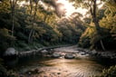 centered, photography, raw photo, | sunset cozy forest, trees, leaf, river, riverflow, rock path, | aesthetic vibe, sunset ilumination, blue and pink color shade, | bokeh, depth of field, 