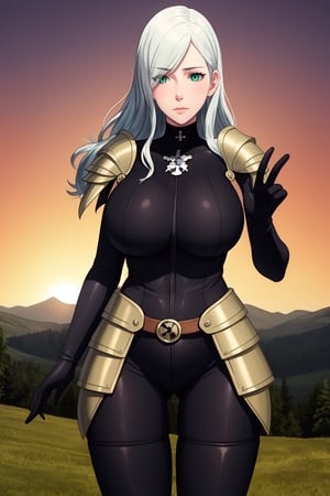 (masterpiece, high quality:1.1), extremely detailed, ambient, VanessaCromwell, 1girl, mature female, solo, standing, cowboy shot, dynamic pose, action-packed,
looking at viewer, determined, 
white hair, long hair, green eyes,
shoulder armor, black bodysuit, gloves, thigh boots, 
large breasts, curvy, 
valley, mountains, day, sunset,VanessaCromwell