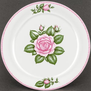 fnxipltz, a white plate with a pink rose design on it