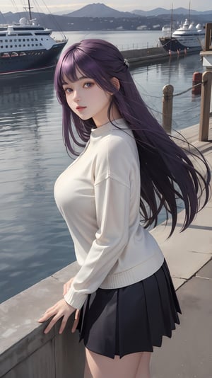 masterpiece, best quality, absurdres, perfect anatomy, 1girl, solo, FernFrieren, very long hair, purple eyes, ,white sweater,  long sleeves,mini_skirt , outdoors, harbor, large breasts, ,FernFrieren.upper body.,perfect.plump.cruise ship.seagull.looking at viewer.
