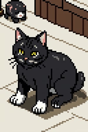 Pixel art,((animal)),feral_domestic_cat