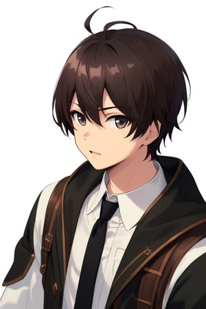 [(Transparent background:1.5)::5],(((masterpiece))),(((best quality))),(((extremely detailed))),illustration,vivid color,shiny,1boy, solo, male focus, looking at viewer, upper body, depth of field,noir_stalgia, brown hair