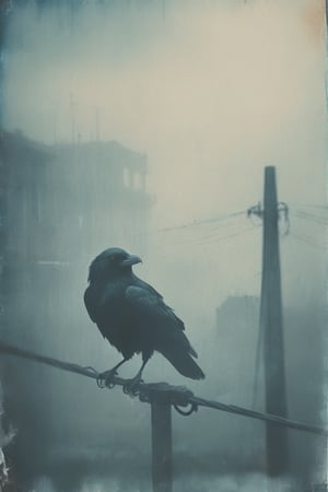 distressed cyanotype, light drizzle, bird silhouette, raven, open wings, sitting on power lines, foggy city background