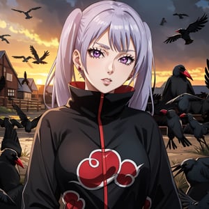 anime, hdr, soft light, ((best quality)), ((masterpiece)), (detailed), noelle_silva, ((twintails)), purple eyes, bangs, silver hair, earrings, (lips), (akatsuki outfit:1.1), looking at viewer, upper body, dutch angle, village, (((crows))),sunset, nature, ,akatsuki outfit