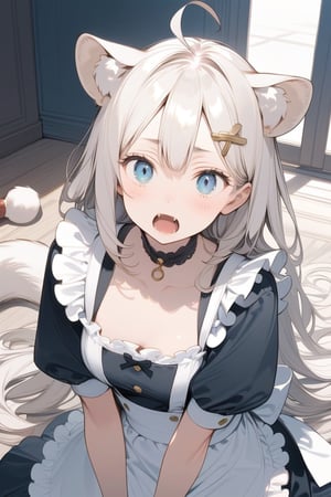  {{{masterpiece}}}, {{{best quality}}}, {{ultra-detailed}}, {beautiful detailed eyes}, 1girl, solo,  ((white hair)), very long hair, blue eyes, (straight hair), (bangs), animal ears, (stoat ears:1.2), Choker, ahoge, fangs, 
(big stoat Tail:1.2), (X hairpin), (cute maid outfit), shocked ,girl ,aesthetic,Eyes