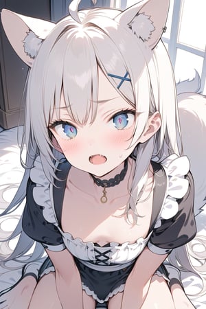  {{{masterpiece}}}, {{{best quality}}}, {{ultra-detailed}}, {beautiful detailed eyes}, 1girl, solo,  ((white hair)), very long hair, blue eyes, (straight hair), (bangs), animal ears, (stoat ears:1.2), Choker, ahoge, fangs, 
(big stoat Tail:1.2), (X hairpin), (cute maid outfit), shocked ,girl ,aesthetic