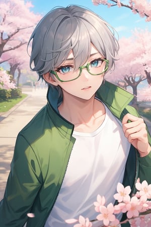Masterpiece, highest quality, high brightness, 1 boy, grey hair, cyan eyes, glasses, white shirt, green jacket, sakura_blossoms, cherry_blossom