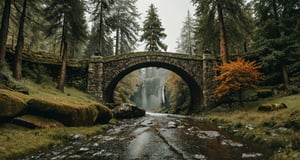 Forest, beautiful forest, rain, grass, rocks, cliffs, stone road, stone arch bridge, epic movie style, masterpiece, perfect quality, exquisite details, real, clear, sharp, detailed, professional photos. (((Compare))), 8k, Ultra HD quality, cinematic look, cool colors,