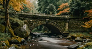Forest, beautiful forest, rain, grass, rocks, cliffs, stone road, stone arch bridge with sculptures, epic movie style, masterpiece, perfect quality, exquisite details, real, clear, sharp, detailed, professional photos. (((Compare))), 8k, Ultra HD quality, cinematic look, cool colors,
