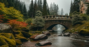 Forest, beautiful forest, rain, grass, rocks, cliffs, stone road, stone arch bridge, epic movie style, masterpiece, perfect quality, exquisite details, real, clear, sharp, detailed, professional photos. (((Compare))), 8k, Ultra HD quality, cinematic look, cool colors,