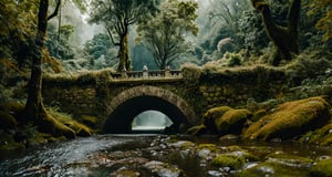 Forest, beautiful forest, rain, rainforest, grass, rocks, cliffs, stone arch bridge, epic movie style, masterpiece, perfect quality, exquisite details, real, clear, sharp, detailed, professional photos. (((Compare))), 8k, Ultra HD quality, cinematic look, cool colors,