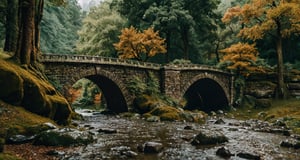 Forest, beautiful forest, rain, grass, rocks, cliffs, stone arch bridge with sculptures, epic movie style, masterpiece, perfect quality, exquisite details, real, clear, sharp, detailed, professional photos. (((comparison))), 8k, Ultra HD quality, cinematic look, cool tones,
