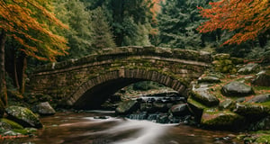 Forest, beautiful forest, rain, grass, rocks, cliffs, stone road, stone arch bridge with sculptures, epic movie style, masterpiece, perfect quality, exquisite details, real, clear, sharp, detailed, professional photos. (((Compare))), 8k, Ultra HD quality, cinematic look, cool colors,