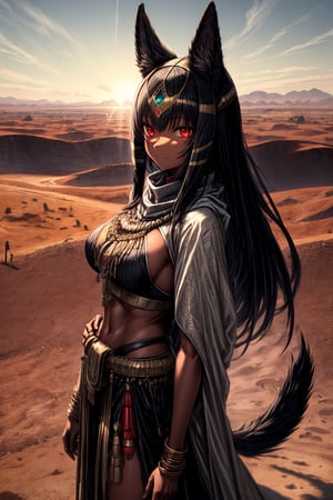 solo mature female,buff,long black hair,red eyes,anubis tail,anubis ears,noble egypten archer outfit,dark tan skin,proud exprestion,desert city background,shawl,
