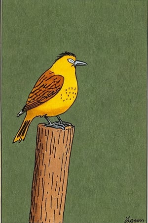 a color far side comic strip illustration of  a Yellowhammer by Gary Larson, 