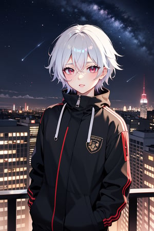 red_eyes, 1boy, male_focus, black_hair, multicolored_hair, looking_at_viewer, sky, rabbit, night, two-tone_hair, star_(sky), jacket, white_hair, cityscape, hair_between_eyes, starry_sky, night_sky, closed_mouth, outdoors, city,masterpiece