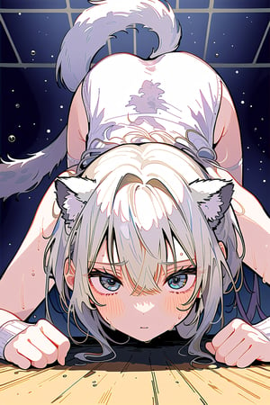 //quality, (masterpiece), (detailed), ((,best quality,)),//1girl,(((,snowleopard girl,snowleapoard tail,snowleapoard ears,))),hairstyle, (white hair),  braid,sidelocks, lightblue eyes, beautiful detailed eyes,big eyes, (, medium breasts,), ,hair_accessories,
 accessories,((,blush,emotionless,expressionless,closed_mouth,)) ,(( , volleyball uniforms,buruma,bloomers,)), sweat,wet clothes,((indoors, school sports gym, ground)), low_angle,from_below,view_from_below, (straight-on, wide shot),(((, push up,top down bottom up,
))),/,aesthetic,cute,,dal,cute comic