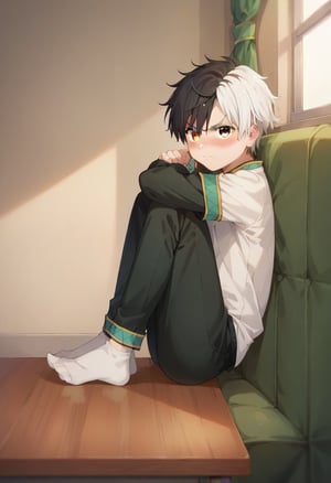score_9, score_8_up, score_7_up, masterpiece, best quality, solo, cute, Sakura Haruka, split-color hair, black hair, white hair, split-color eyebrow, heterochromia, blush, angry, socks,full body, pants, relaxing on sofa with feet on desk, side view,showing his feet