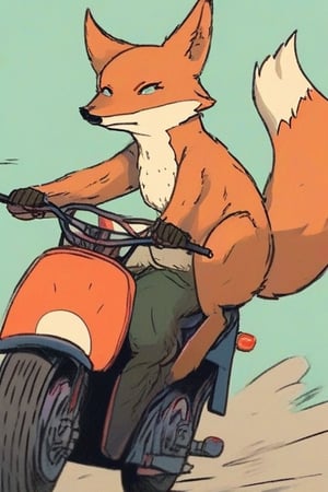 Fox riding a motorcycle