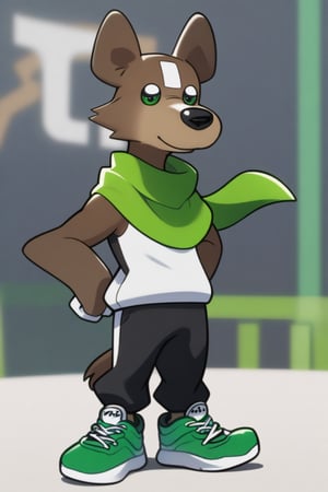 anthropomorphic dog with brown fur and long ears, green scarf, green wristbands, black sports pants and green sneakers
