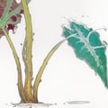 cnov rain avatar on Tensor.Art