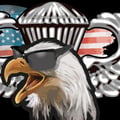 11B AI art fan avatar on Tensor.Art