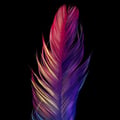 Cyberartisan_ai avatar on Tensor.Art