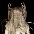 theannihilator avatar on Tensor.Art