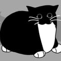 meowish_2022 avatar on Tensor.Art