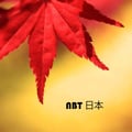 nbt nihon avatar on Tensor.Art