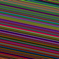 kerala-resize-0113.jpg avatar on Tensor.Art