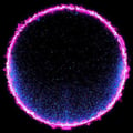 Cell1310 avatar on Tensor.Art