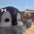 Suzie eat your cookies 🍪  avatar on Tensor.Art