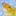 Fish788