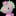 KecleonShiny