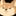 Koki 