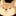 Koki 