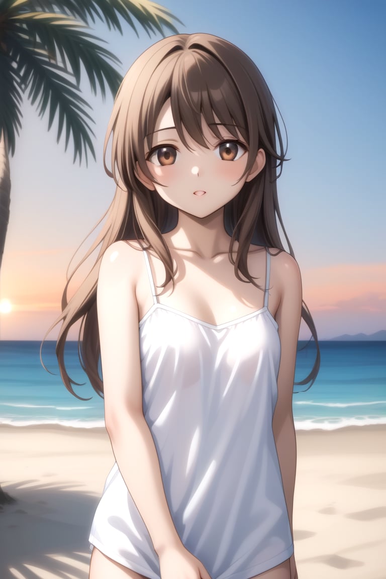 Highly detailed, High Quality, masterpiece, beautiful, BREAK 1boy, solo, male focus, 16 years old, 1boy, Yuu, long hair, collarbone, brown eyes, Brown hair, ((male chest)),BREAK beach, palm trees, sea, outdoors, sunset,BREAK camisole, white camisole, bare shoulders, BREAK side view, Focus waist, standing<lora:EMS-332415-EMS:0.600000>, <lora:EMS-438743-EMS:0.800000>