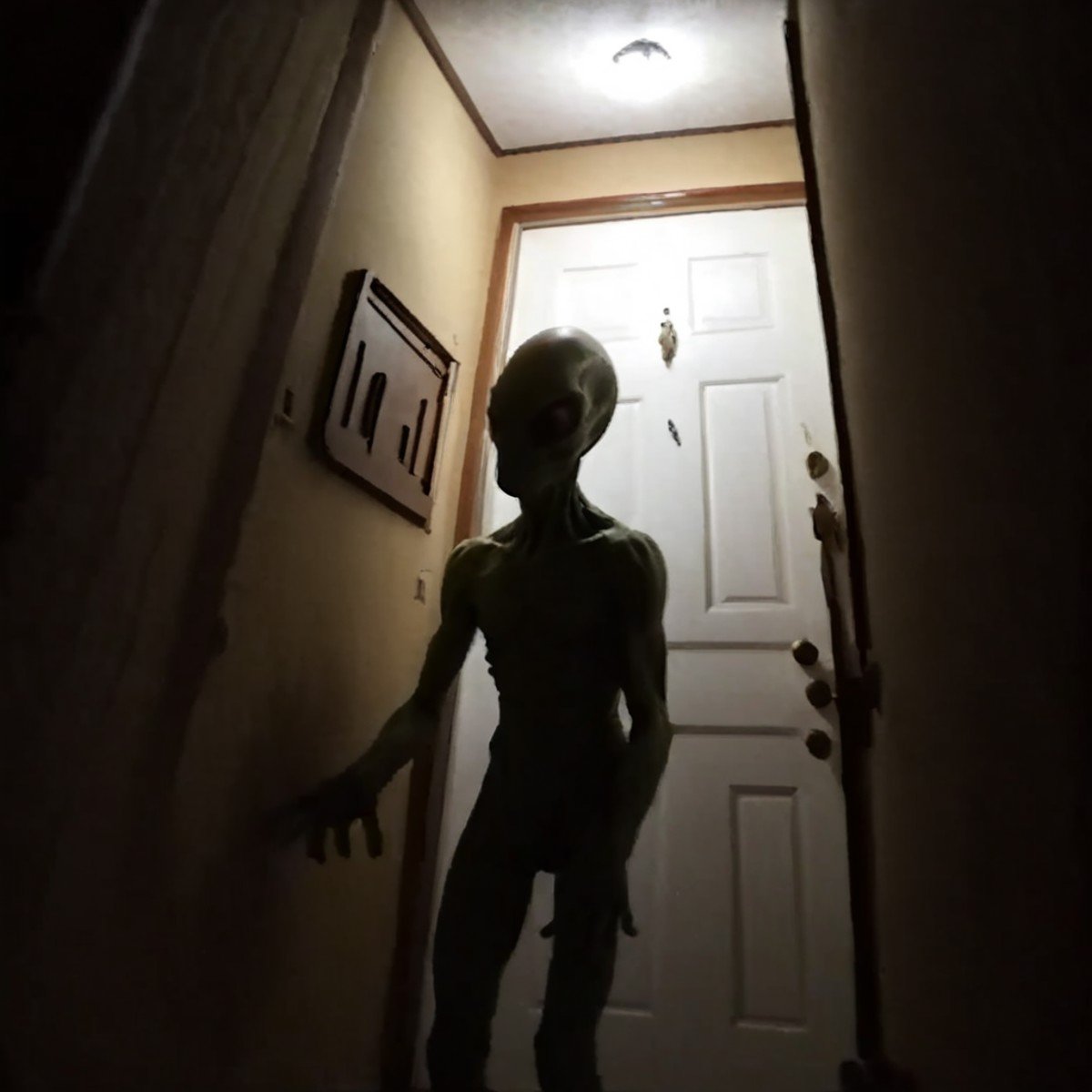 1alien, hidden behind door, vhslora