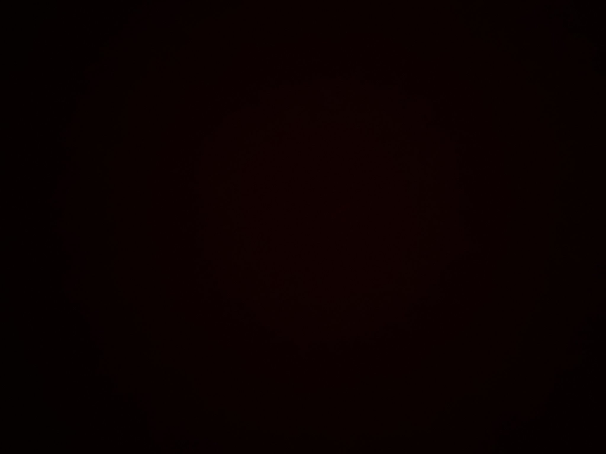 AI generated image by lan on Tensor.Art