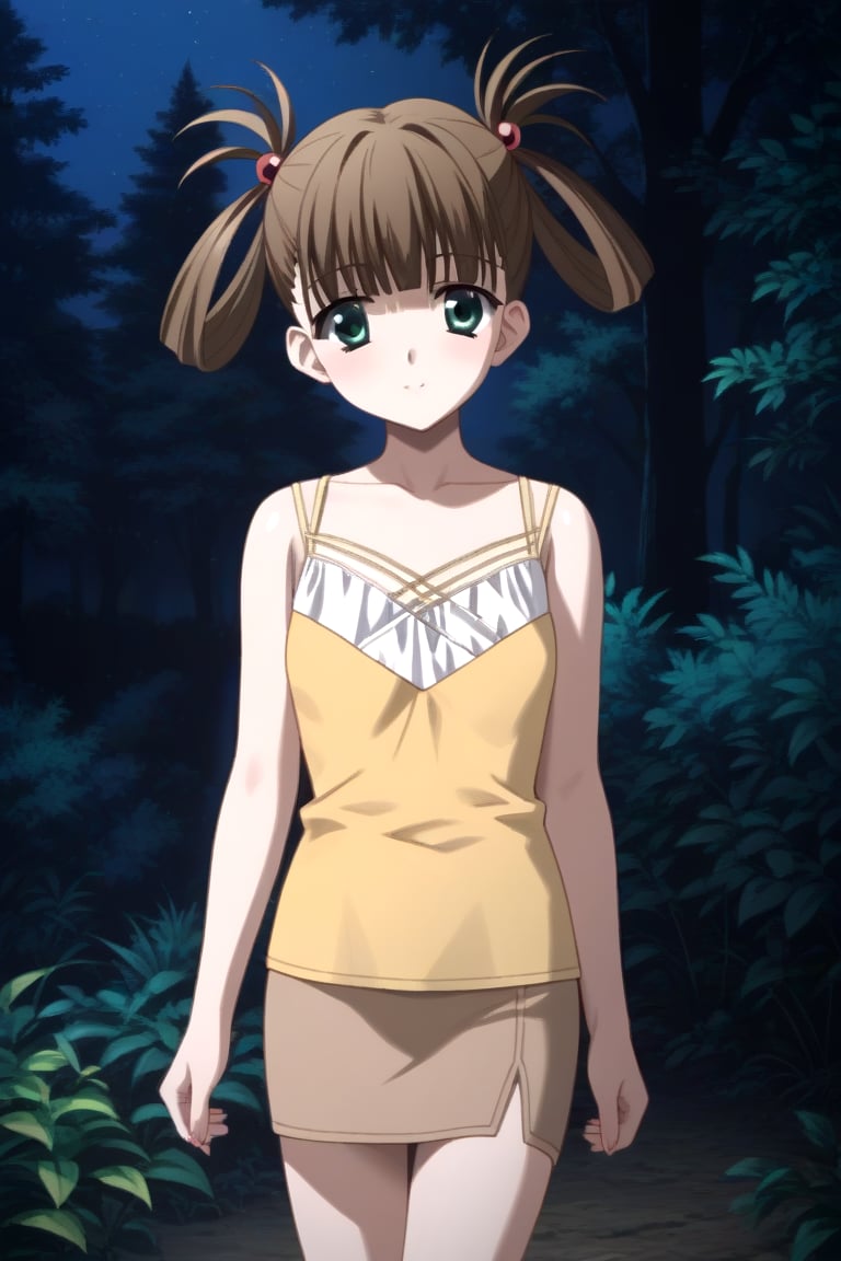 Highly detailed, High Quality, masterpiece, beautiful, 1girl, solo, (feminine focus, young woman, 16 years old), hikari kuroda, bangs, brown hair, hair ornament, twintails, green eyes, hair bobbles, hair rings, skirt, camisole, sandals, pencil skirt, forest, night, outdoors, looking_at_viewer, front_view, standing, upper_body<lora:EMS-433325-EMS:1.000000>