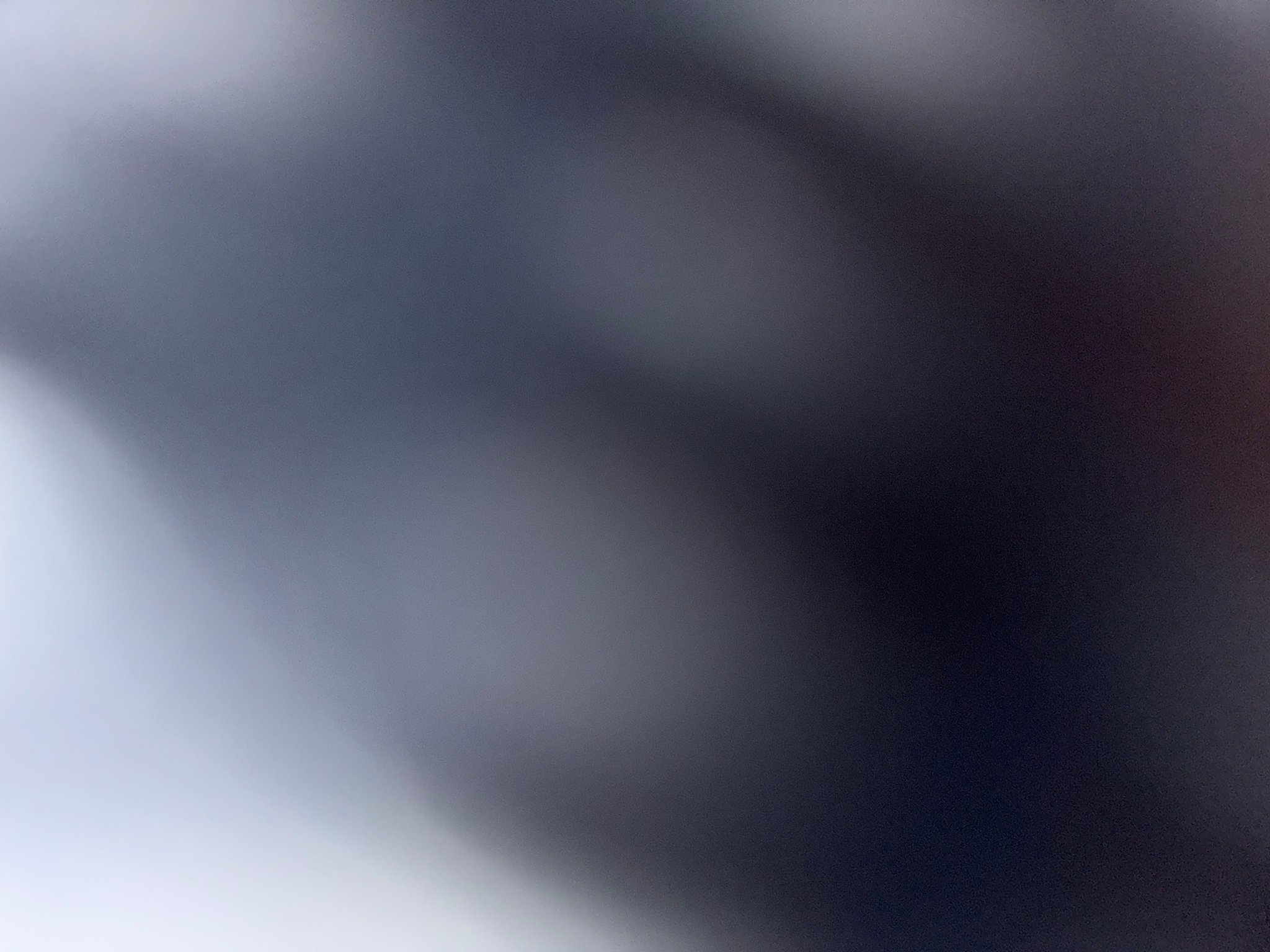 AI generated image by Tiger-liliiiy on Tensor.Art