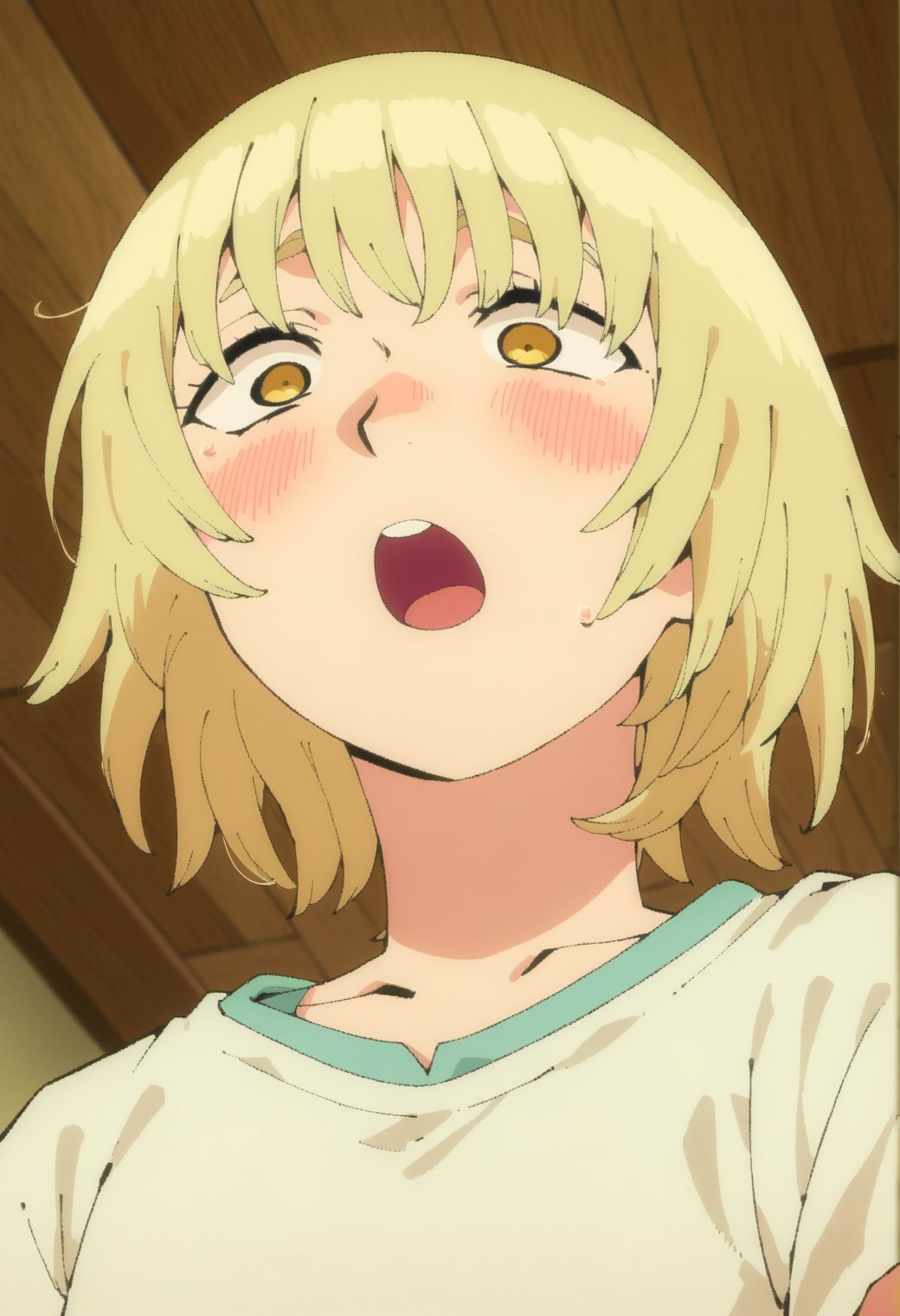 score_9, score_8_up, score_7_up, score_6_up, source anime, BREAK<lora:dungeon_meshi_falin:1> nilafpnxl, falin thorden, 1girl, solo, blush, open mouth, short hair, shirt, blonde hair, yellow eyes, meme, from below