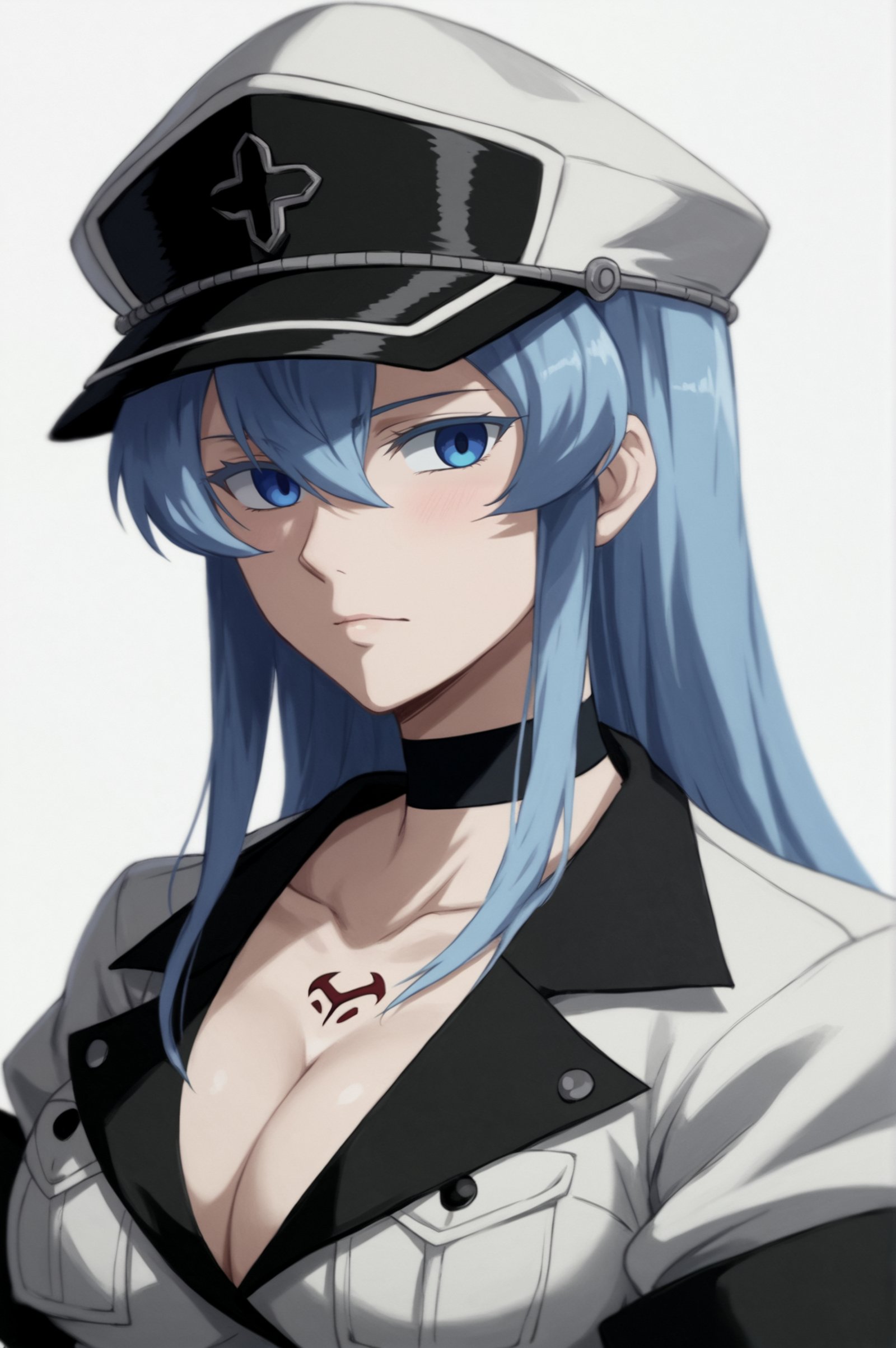 rating_all, score_10, score_8_up, score_7_up,  Esdeath, upper body, white background, looking at viewer, <lora:Esdeath:0.7>